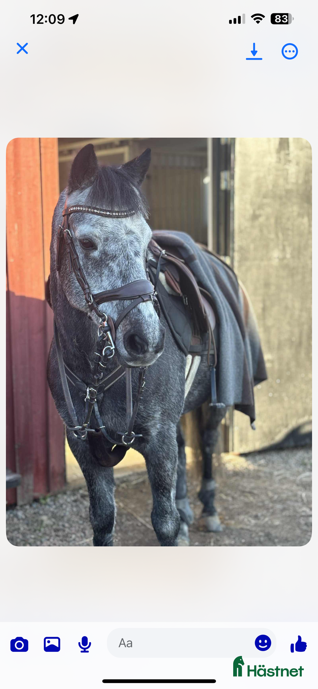 Hoppning hästar till salu: C-ponny med stort hopp och hög ridbarhet i Kungsbacka - Annons 2