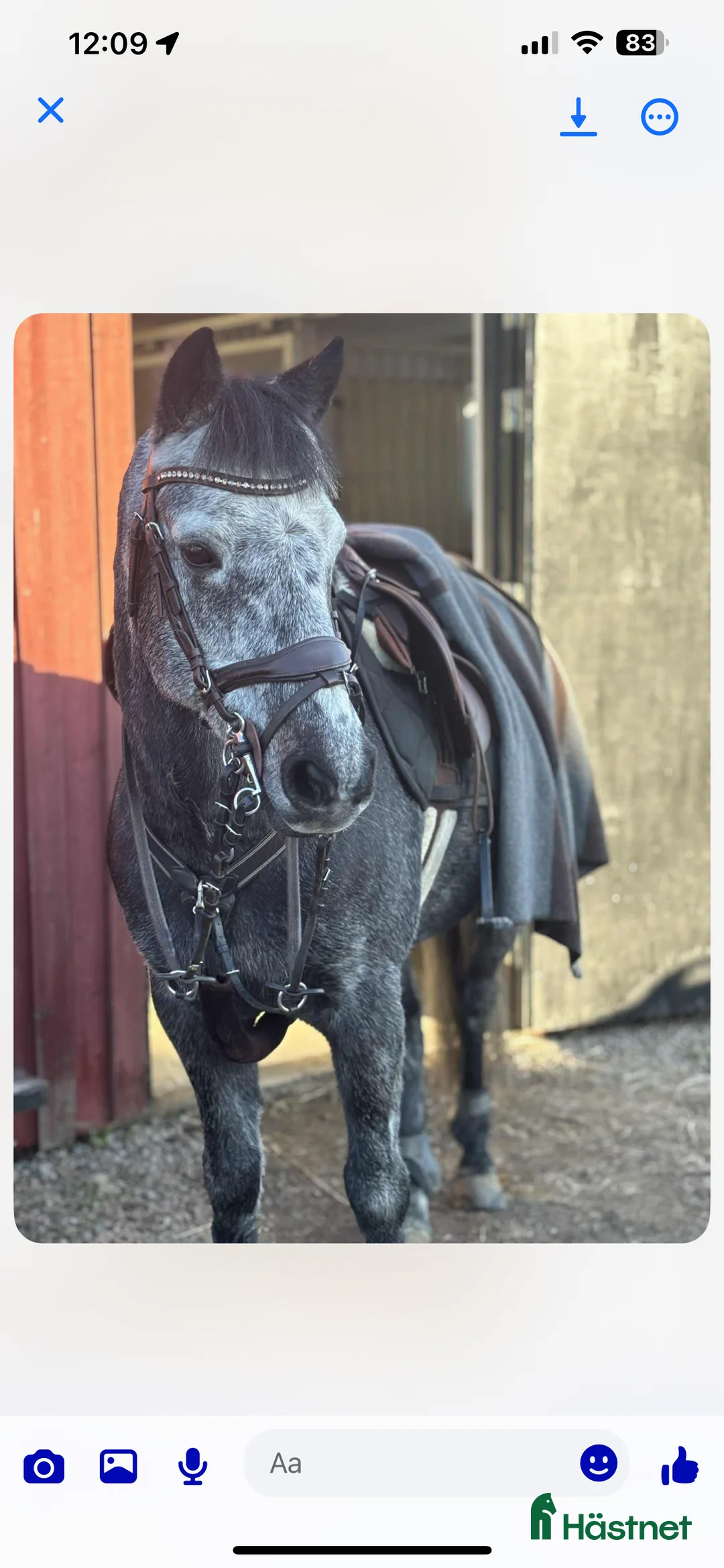 Hoppning hästar till salu: C-ponny med stort hopp och hög ridbarhet i Kungsbacka - Annons 2