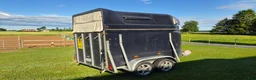 Hästtransporter  fordon & transport till salu: Christ Concorde  i Vara - Annons 4