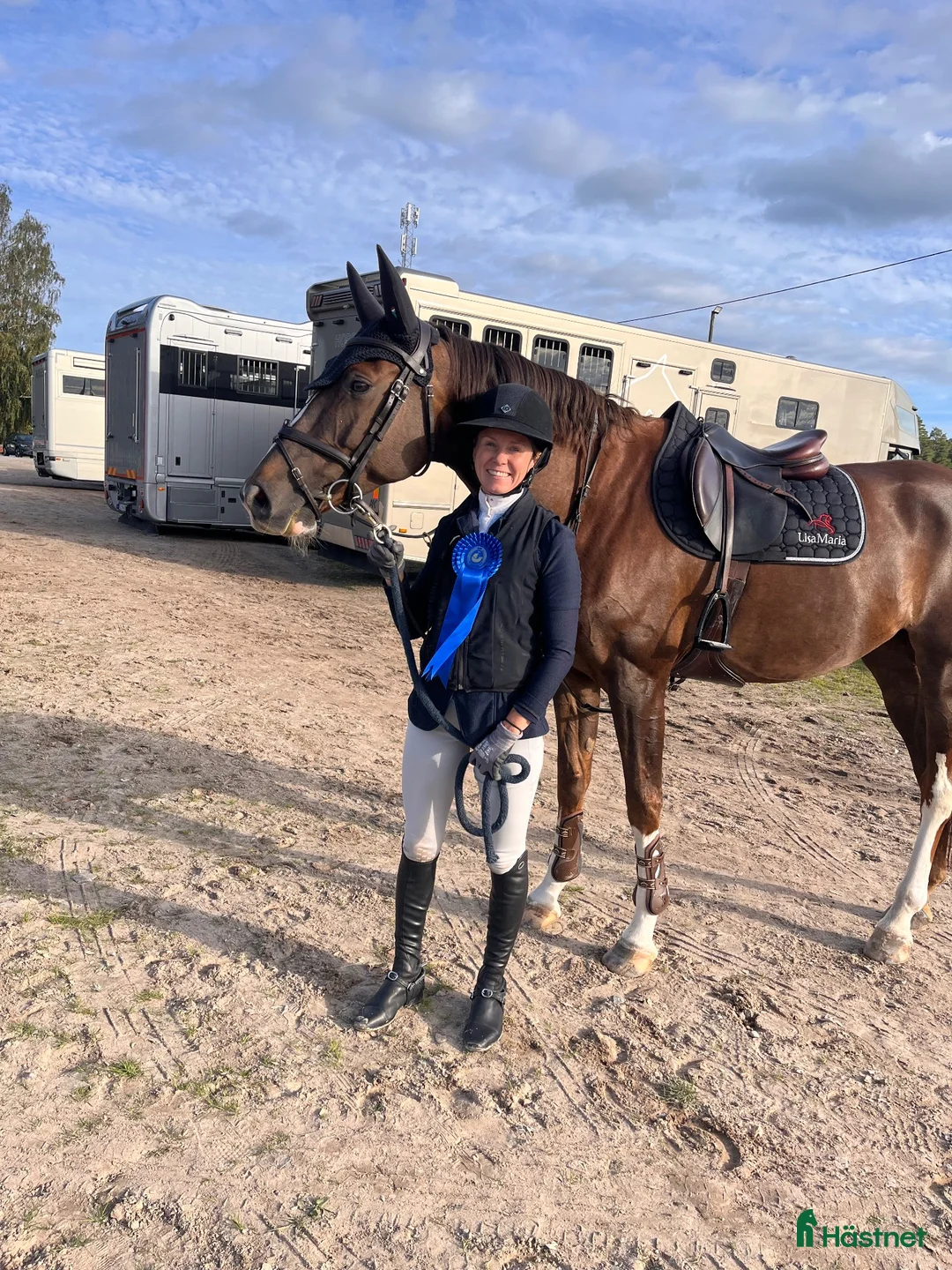 Hoppning hästar till salu: 8-årigt sto med placeringar upp till 135  - Annons 2
