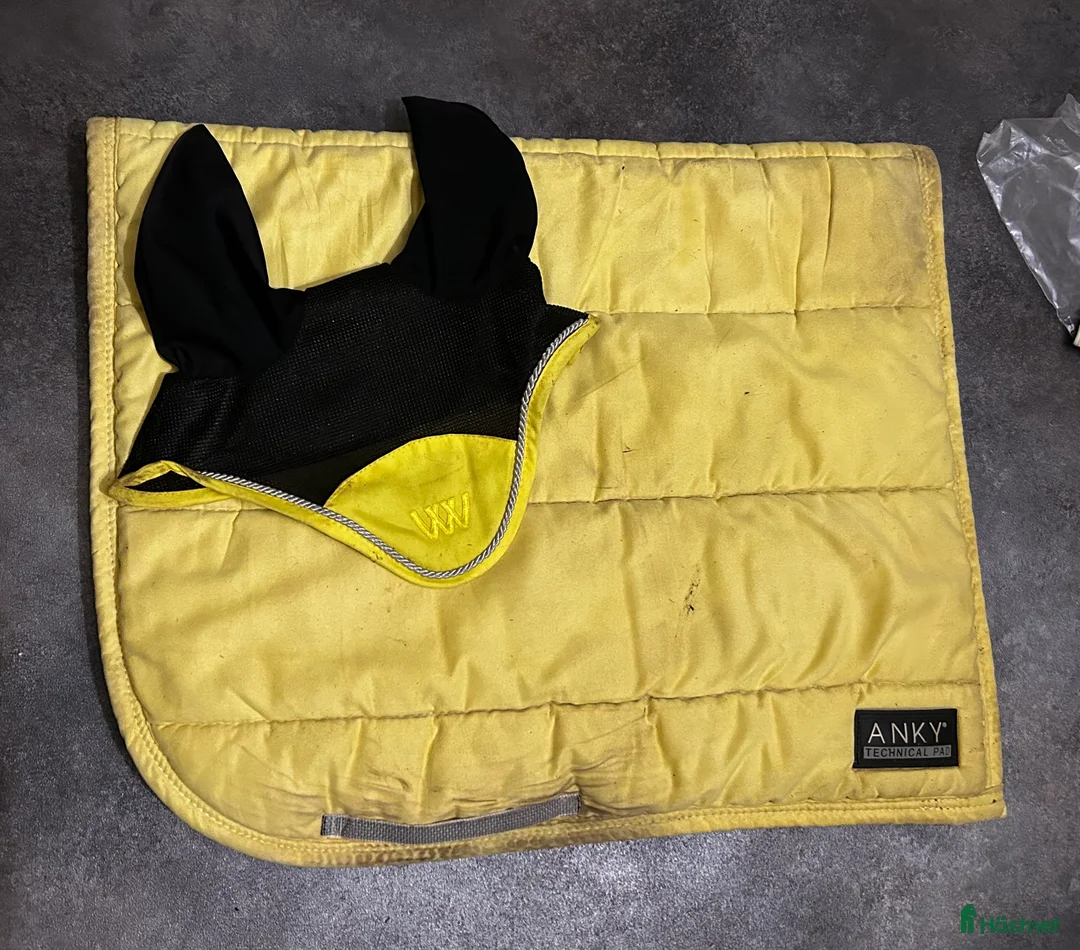 Schabrak & Vojlockar hästutrustning till salu: Fräckt fälttävlans set  - Annons 2