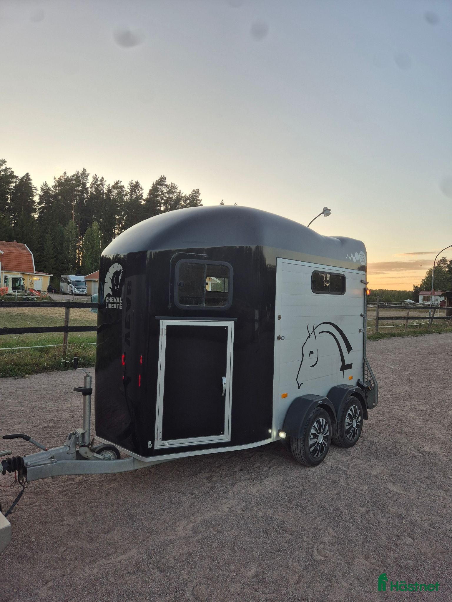 Hästtransporter  fordon & transport till salu: Cheval Liberte Gold 3 / 2022 - Annons 1