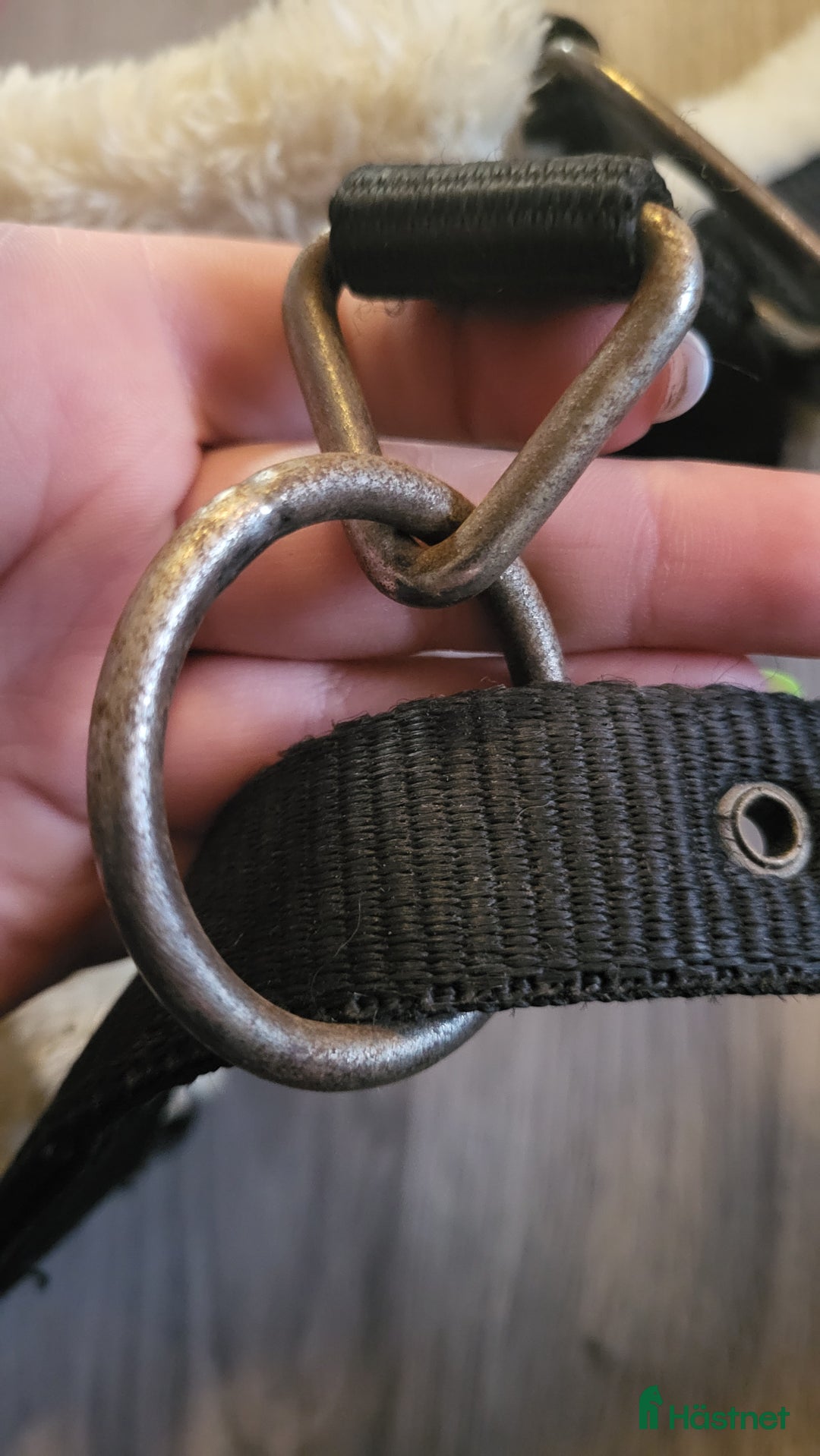 Övrig Hästutrustning hästutrustning till salu: JH Collection grimma + kedjegrimskaft i Åhus - Annons 3