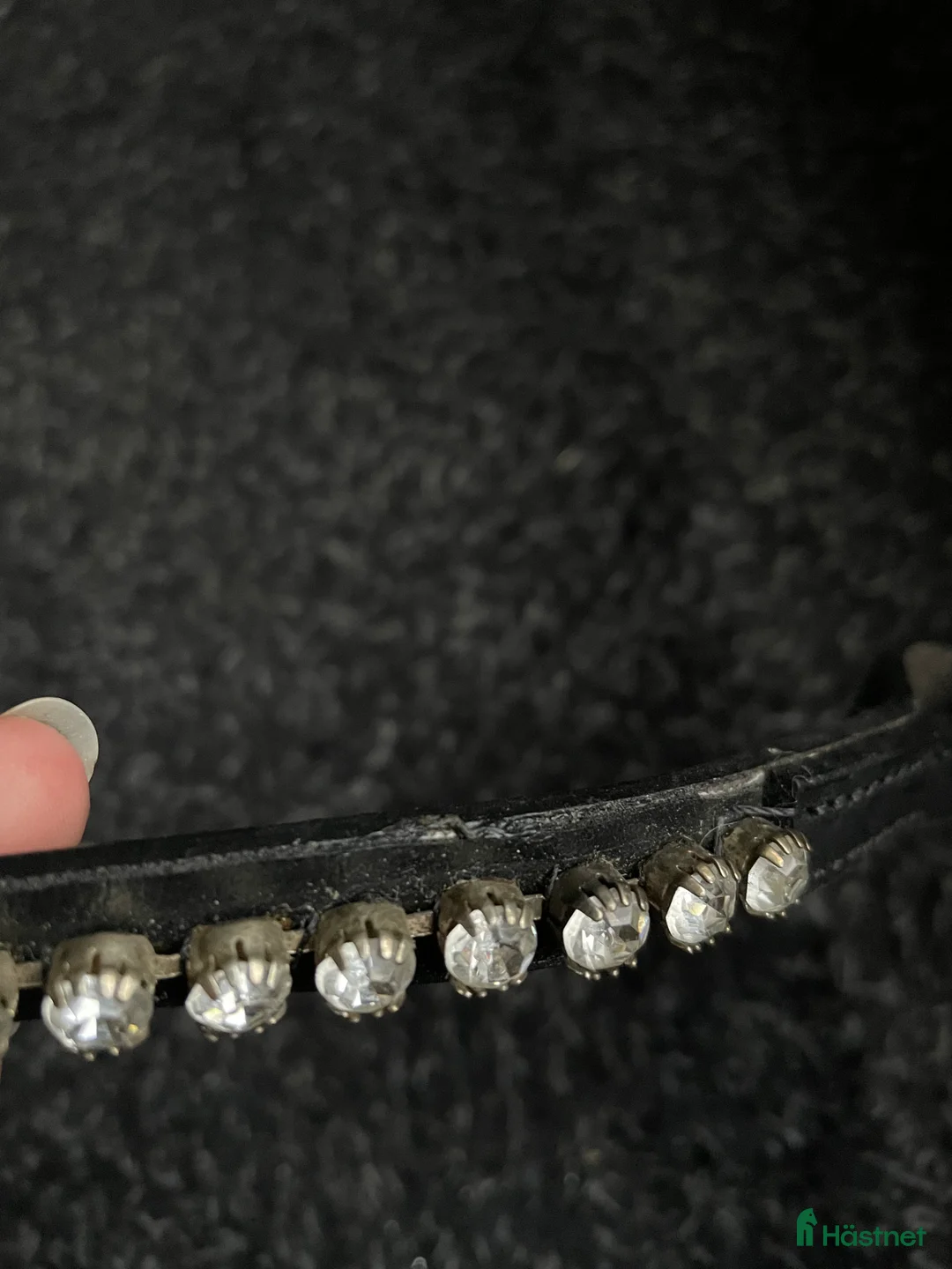 Träns hästutrustning till salu: Oanvänt pannband💕 - Annons 3