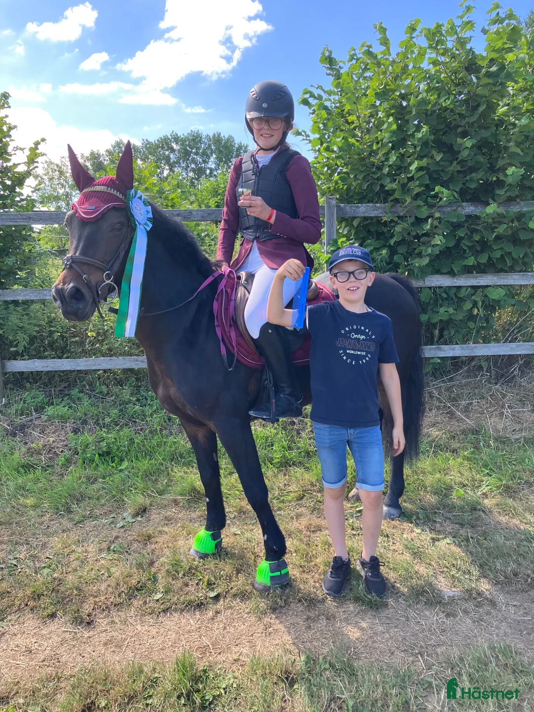 Hoppning hästar till salu: Superfin B-ponny till salu!💘 - Annons 1