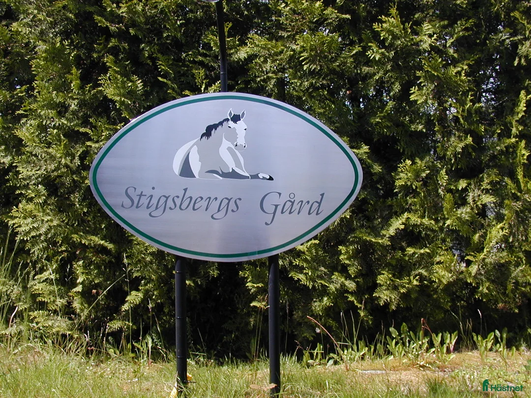 Galleribild {{count}}