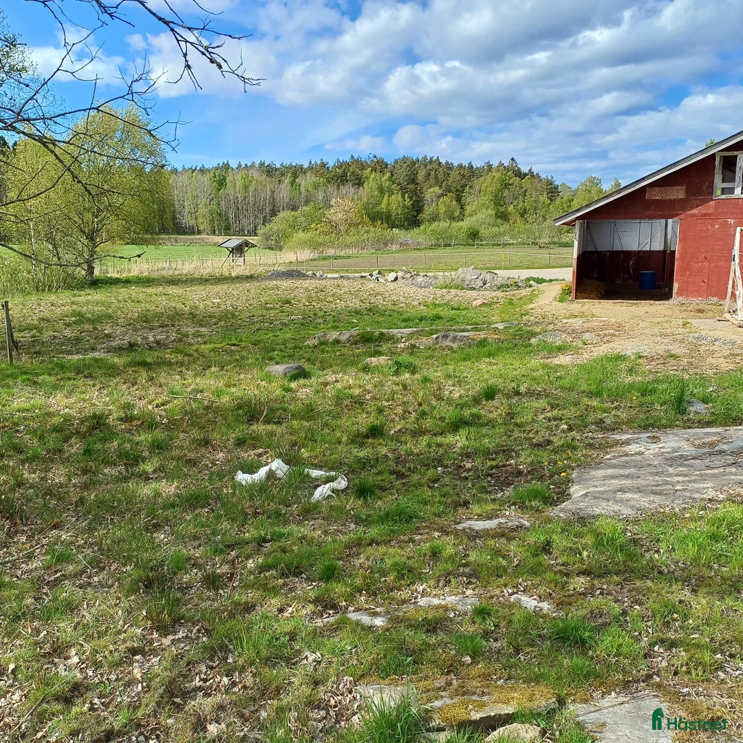  stallplats finnes: Lösdrift i Torslanda - Annons 6