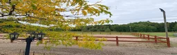 Allround hästar sökes: Sto till livslångt femstjärnigt hem! i Nyköping - Annons 6