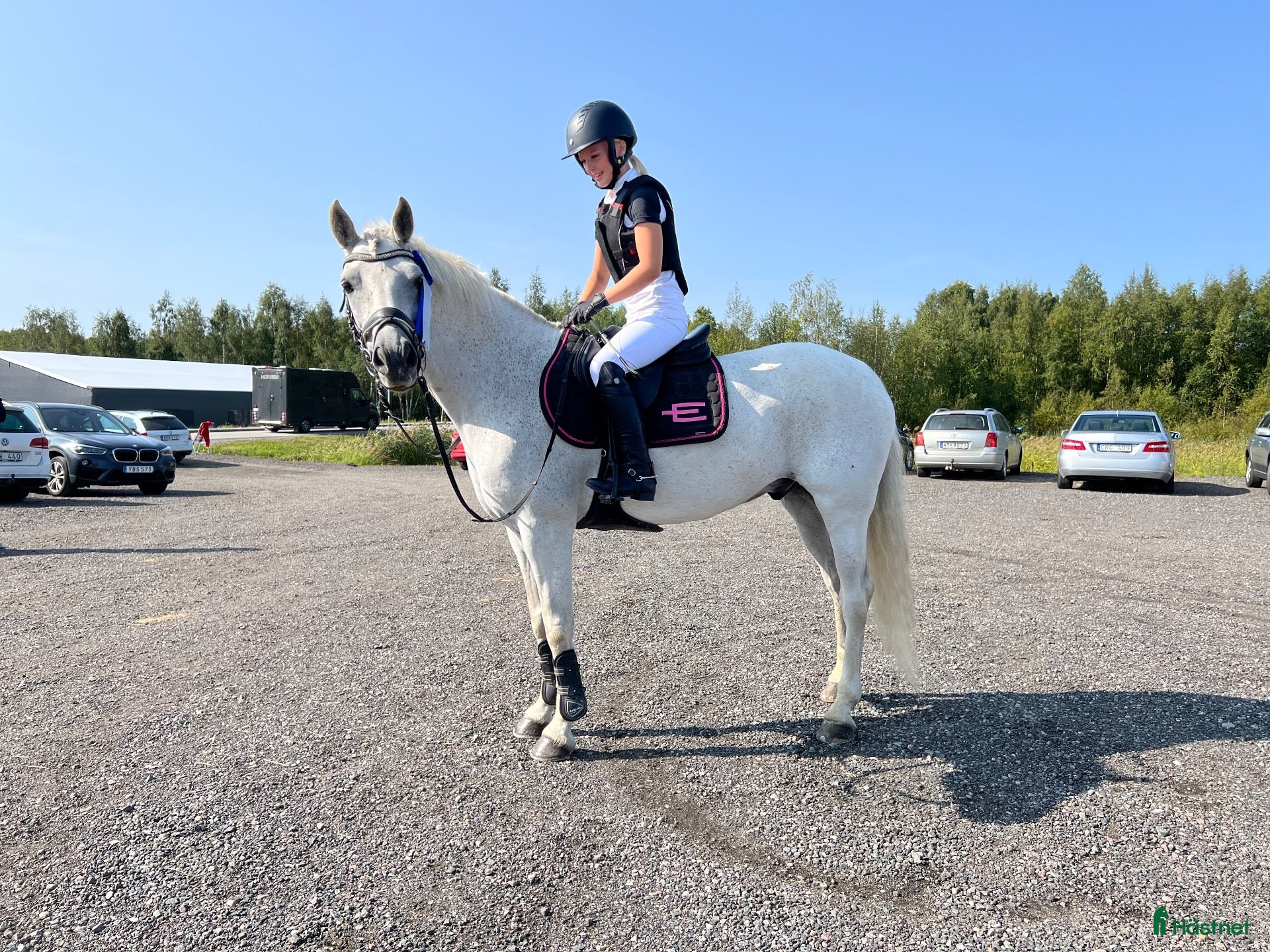  hästar Välutbildad D-ponny söker sin nästa ryttare✨ - Annons 1