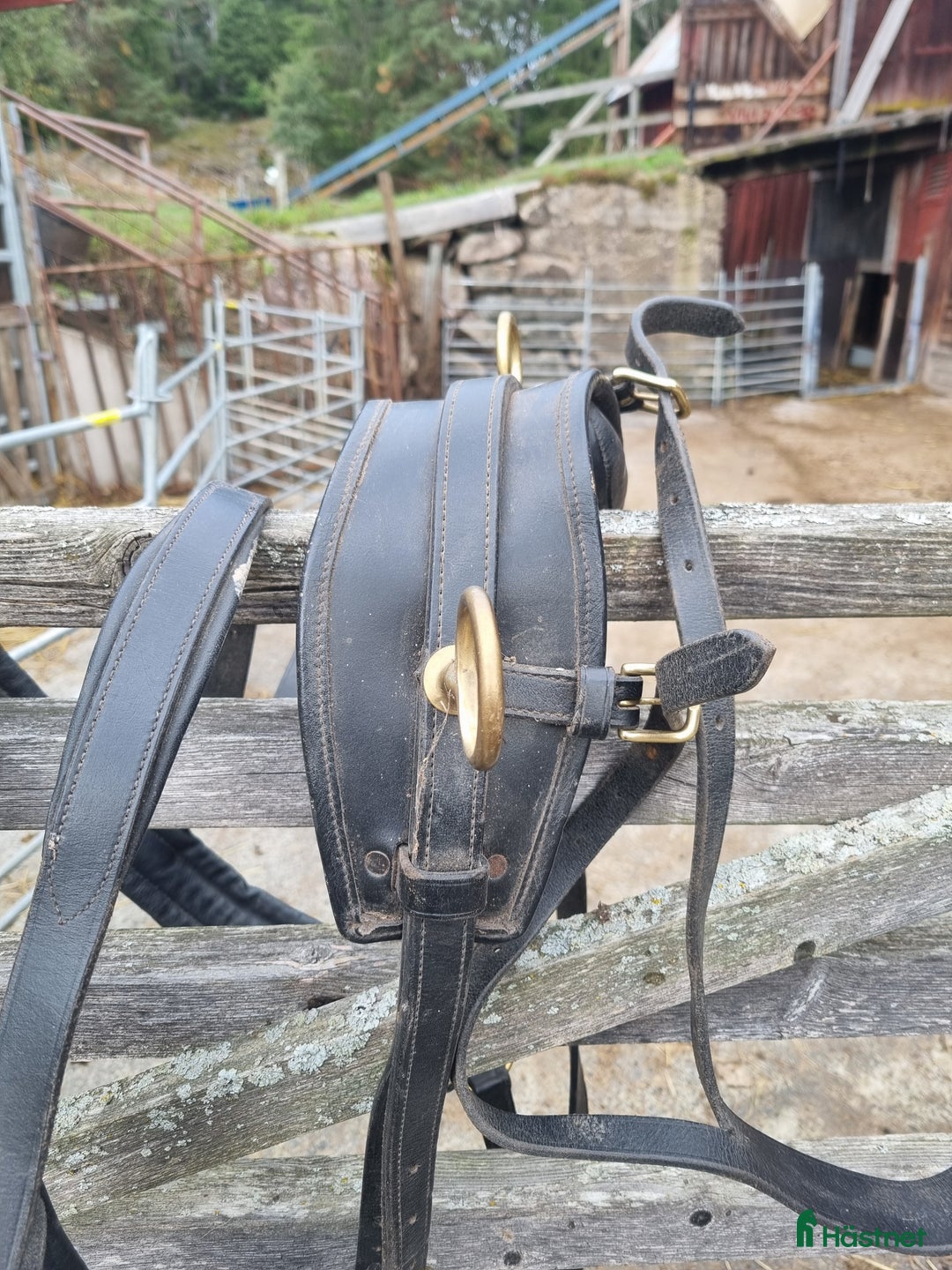 Körselar körning till salu: Bröstsele strl full i Gränna - Annons 4