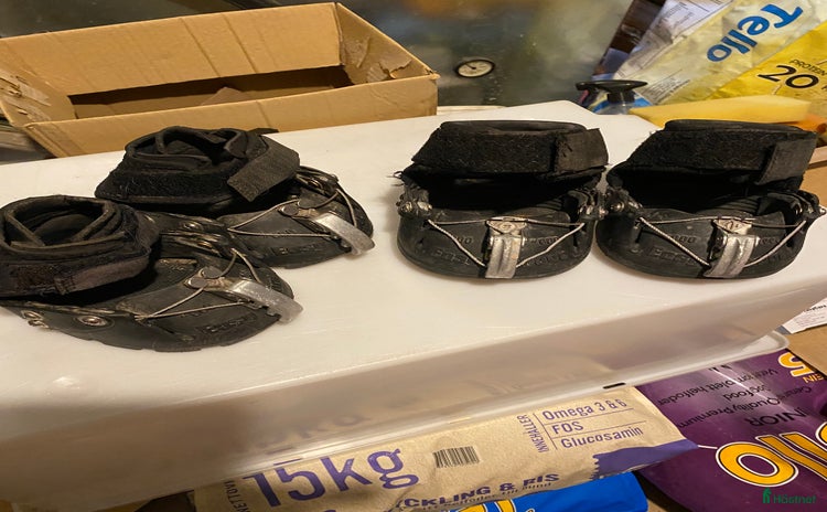 Övrig Hästutrustning hästutrustning till salu i Torsåker - Annons 10