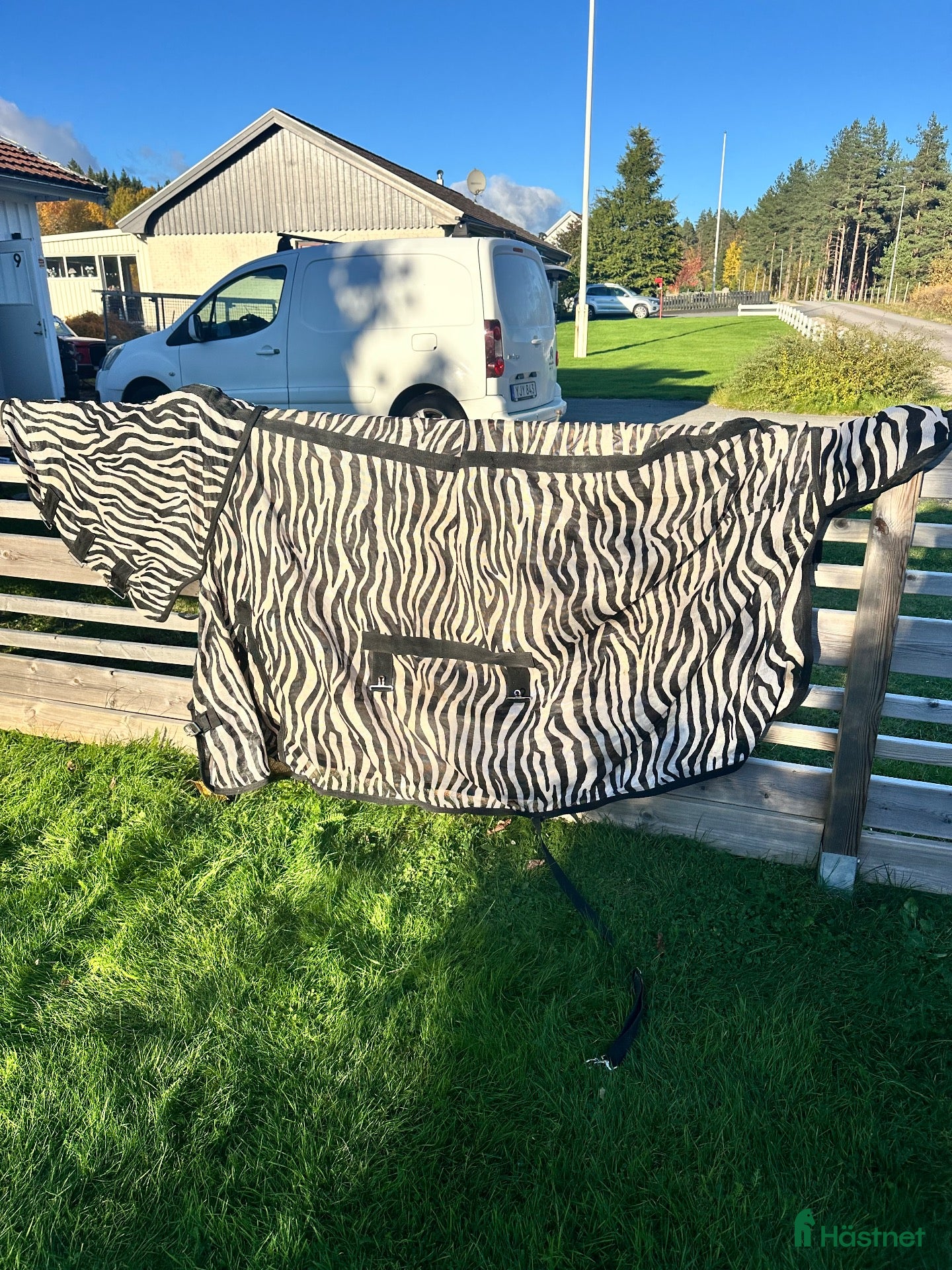 Täcken hästutrustning till salu: Zebra flugtäcke - Annons 1