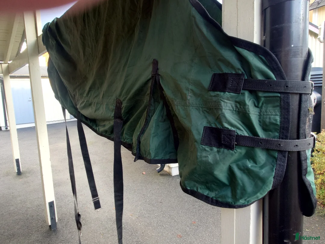 Täcken hästutrustning till salu: Fräscht grönt hästtäcke  i Kista - Annons 8