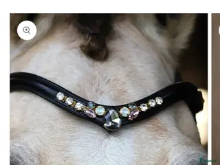 Träns hästutrustning till salu: Masego pannband NY i Falköping - Annons 1