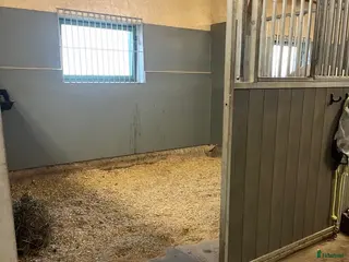 stallplats Norrköping 1 plats - Annons 1