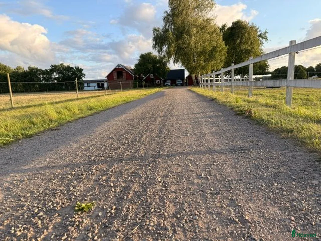  stallplats finnes: Stallplats ledig i Tånga - Annons 2