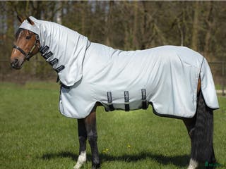 Täcken hästutrustning till salu: Rambo Hoody, 125 i Visby - Annons 14