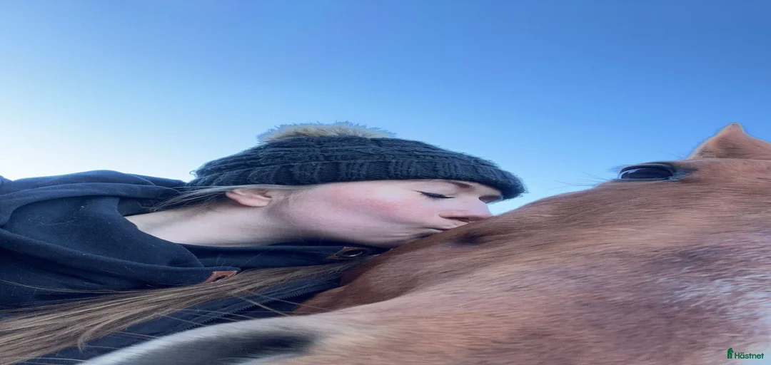 Galleribild {{count}}