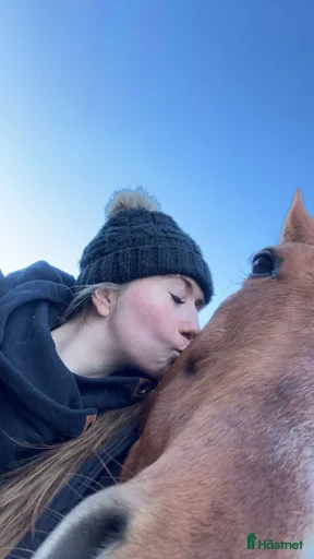 Galleribild {{count}}