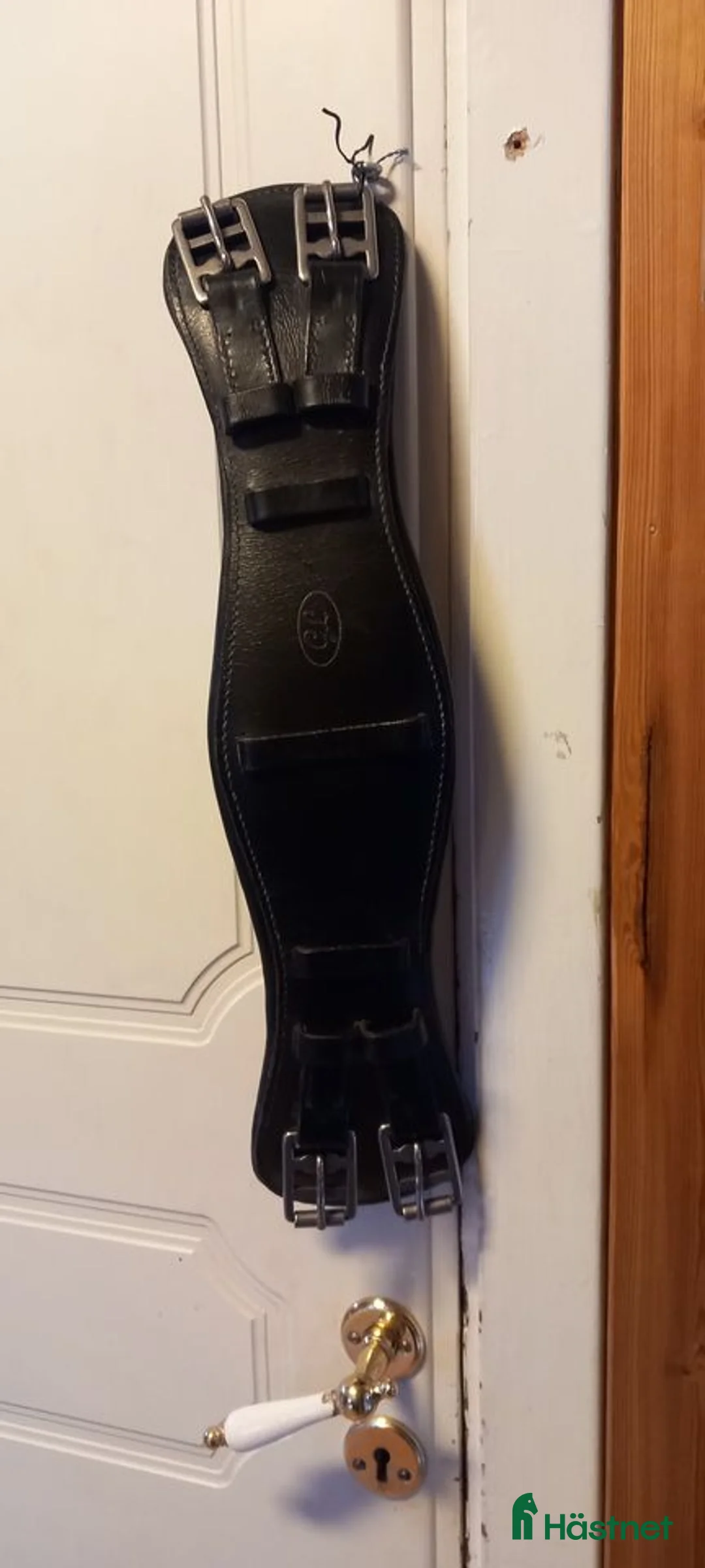 Sadeltillbehör hästutrustning till salu: dressyrgjord - Annons 1