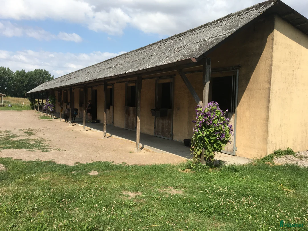  stallplats finnes: Stallplats Malmö  i Malmö - Annons 3