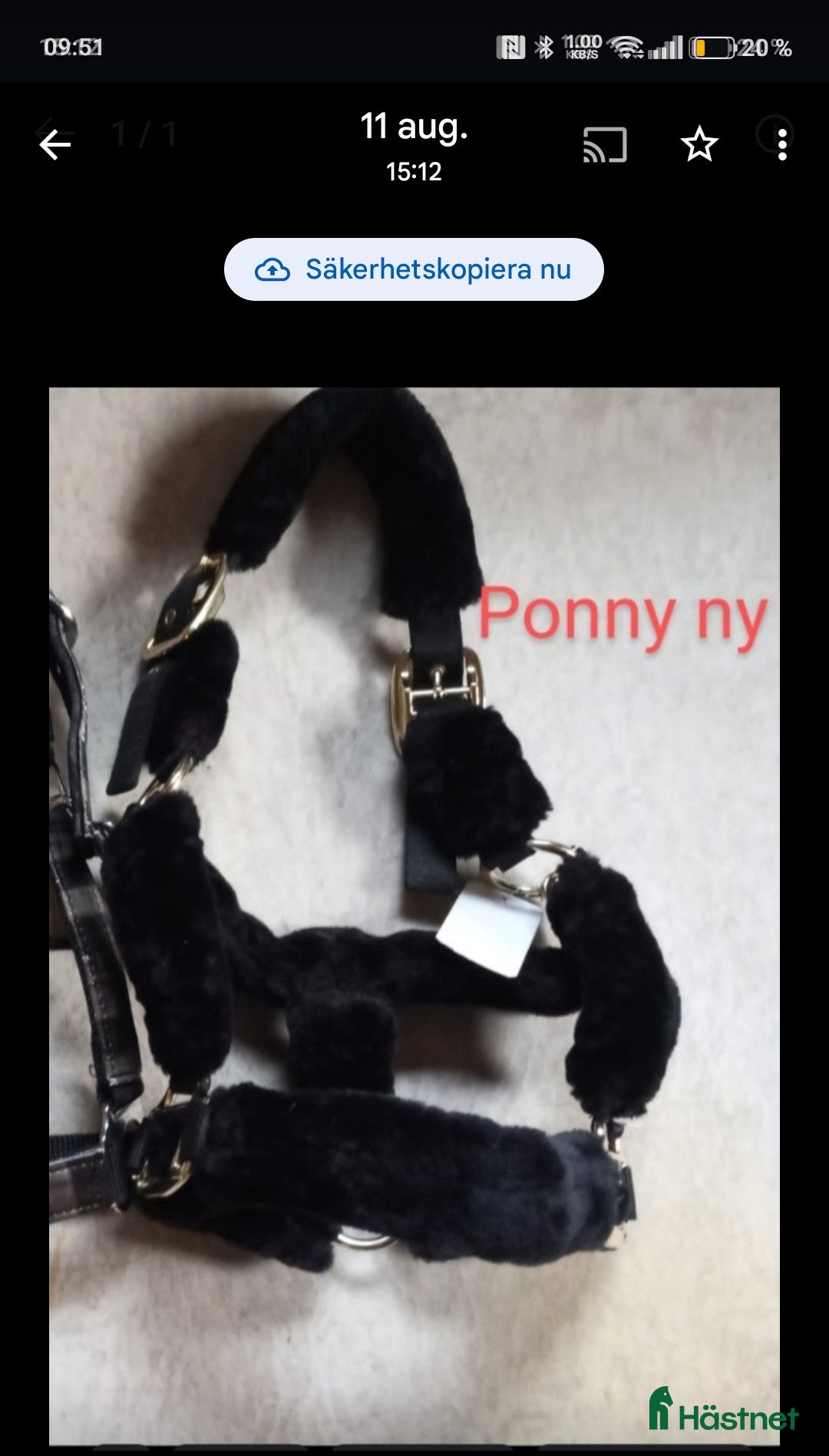 Övrig Hästutrustning hästutrustning Helt nya grimmor - Annons 2