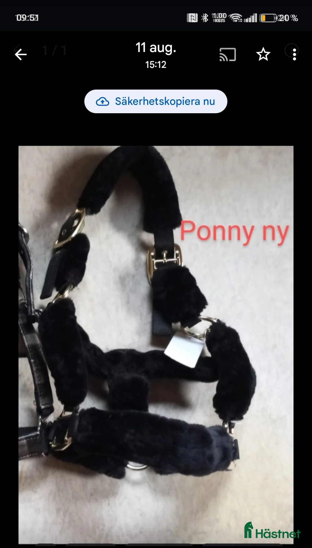 Övrig Hästutrustning hästutrustning till salu: Helt nya grimmor - Annons 1