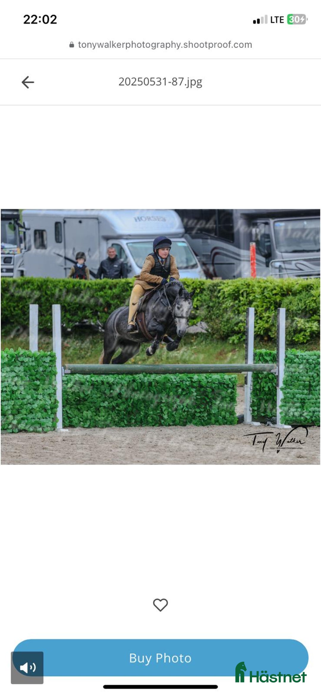 Hoppning hästar till salu: Ungponny SM 2026 i Ängelholm - Annons 3