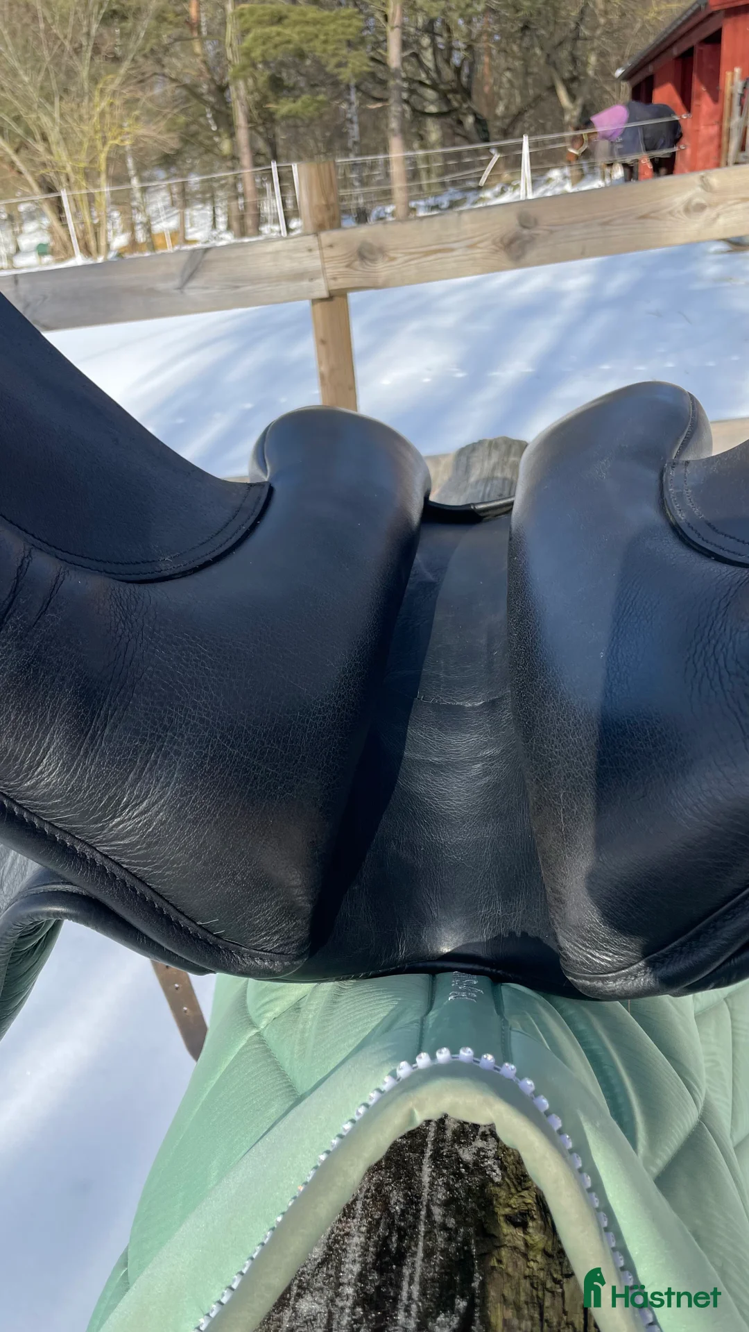 Sadlar hästutrustning till salu: Lippo Vanessa - Annons 6