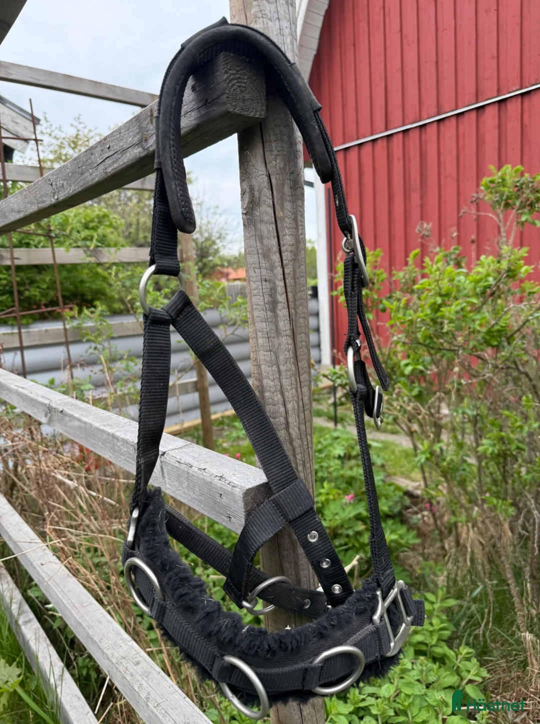 Träns hästutrustning till salu: Kapson - Annons 2