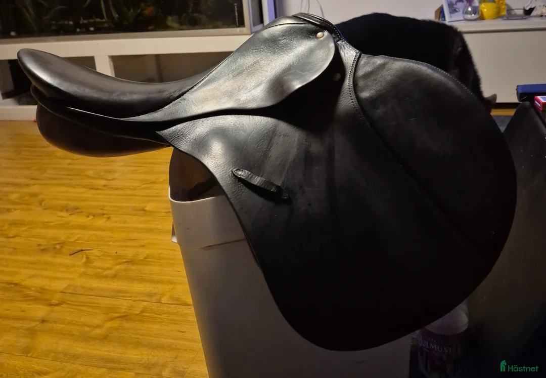 Sadlar hästutrustning till salu: Stübben Siegfried  i Mörrum - Annons 1