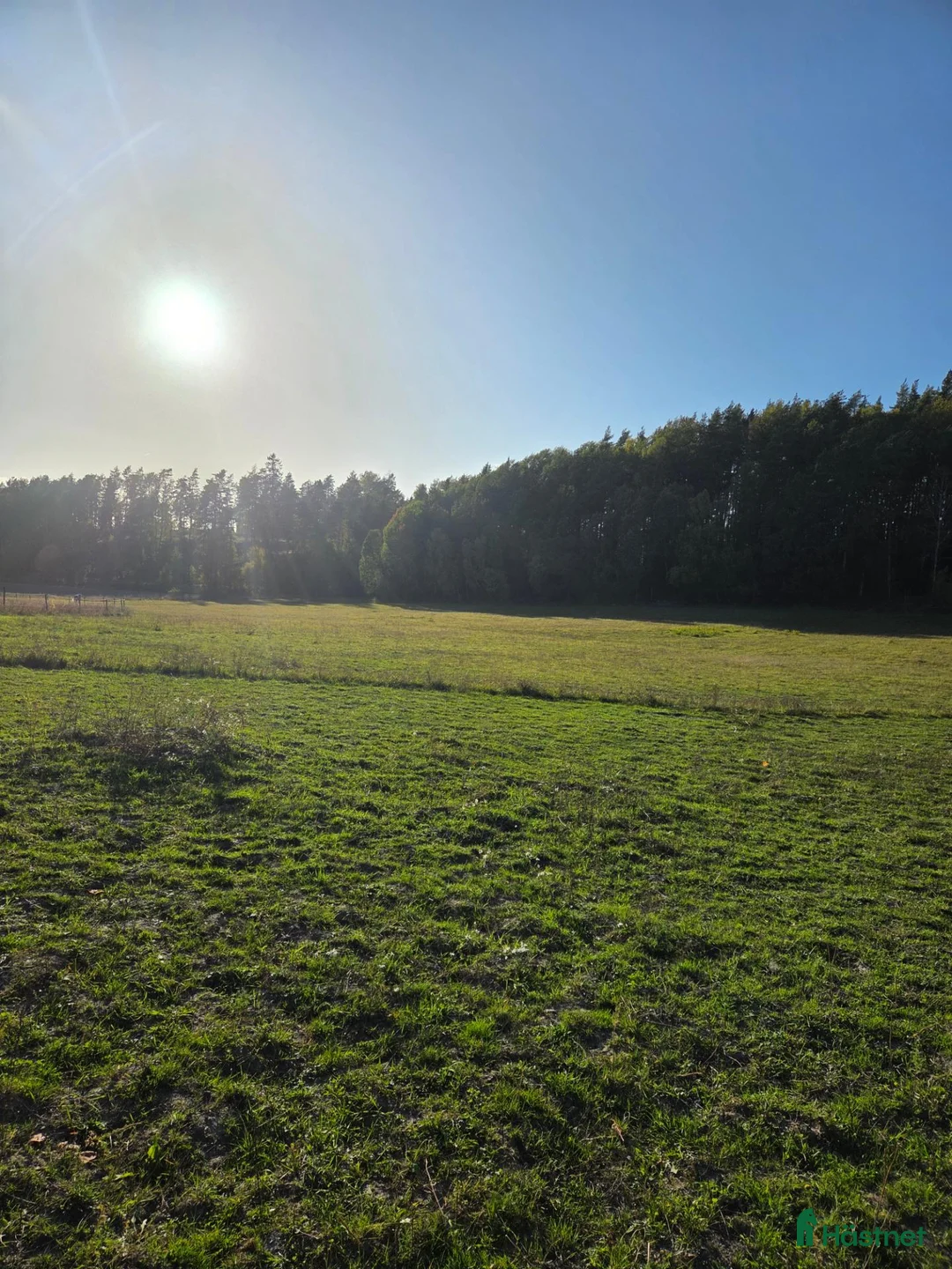 Allround hästar sökes: Söker vår framtida hästkompis!  i Nyköping - Annons 1