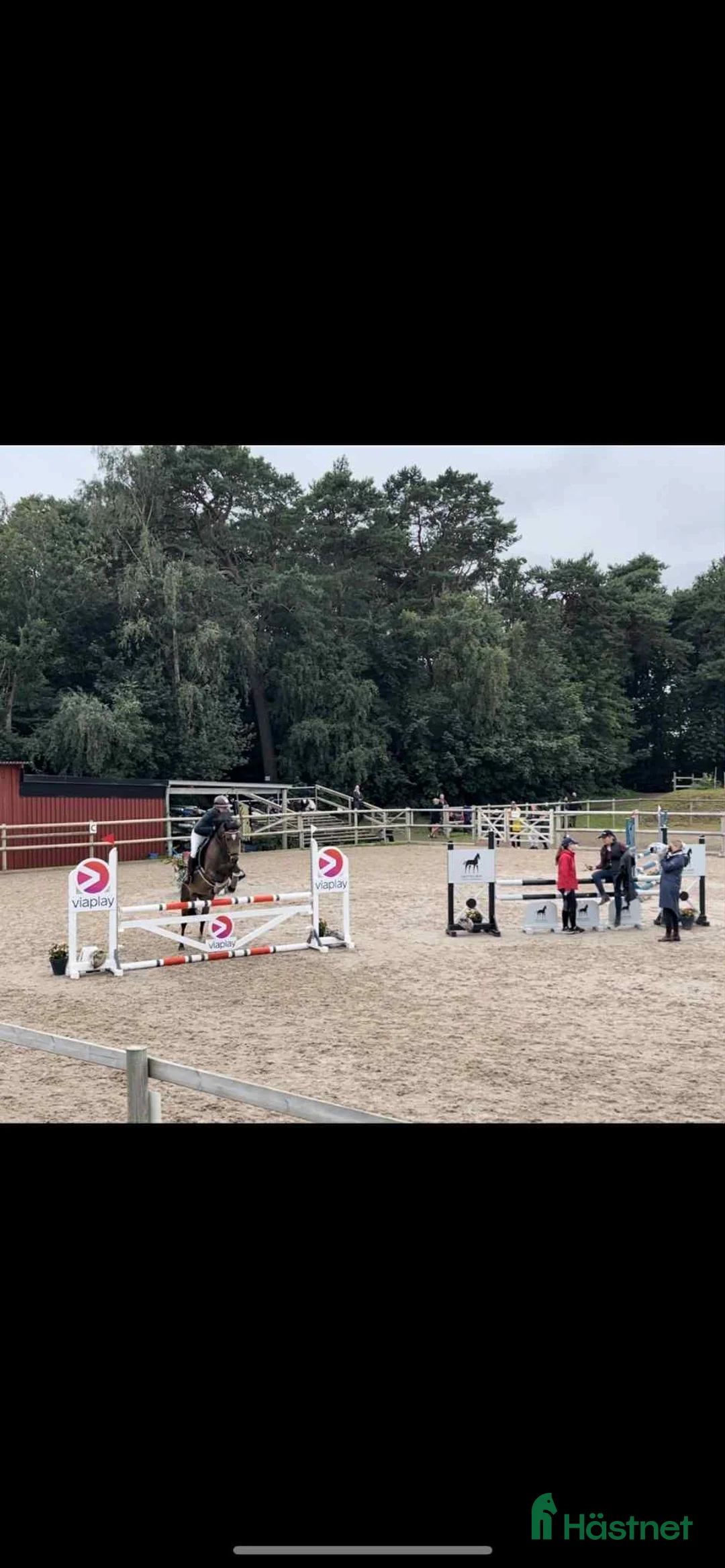 Hoppning hästar till salu: Hoppglad Connemara i Staffanstorp - Annons 4