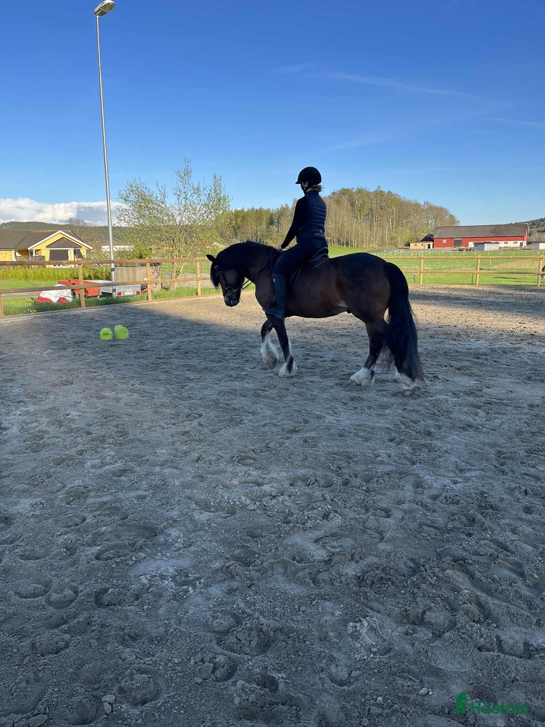 Allround hästar till salu: Loke ❤️ i Kungsbacka - Annons 2