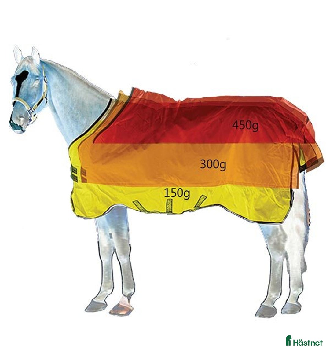 Täcken hästutrustning till salu: Rambo Vintertäcke Vari-Layer  i Gotlands Tofta - Annons 2