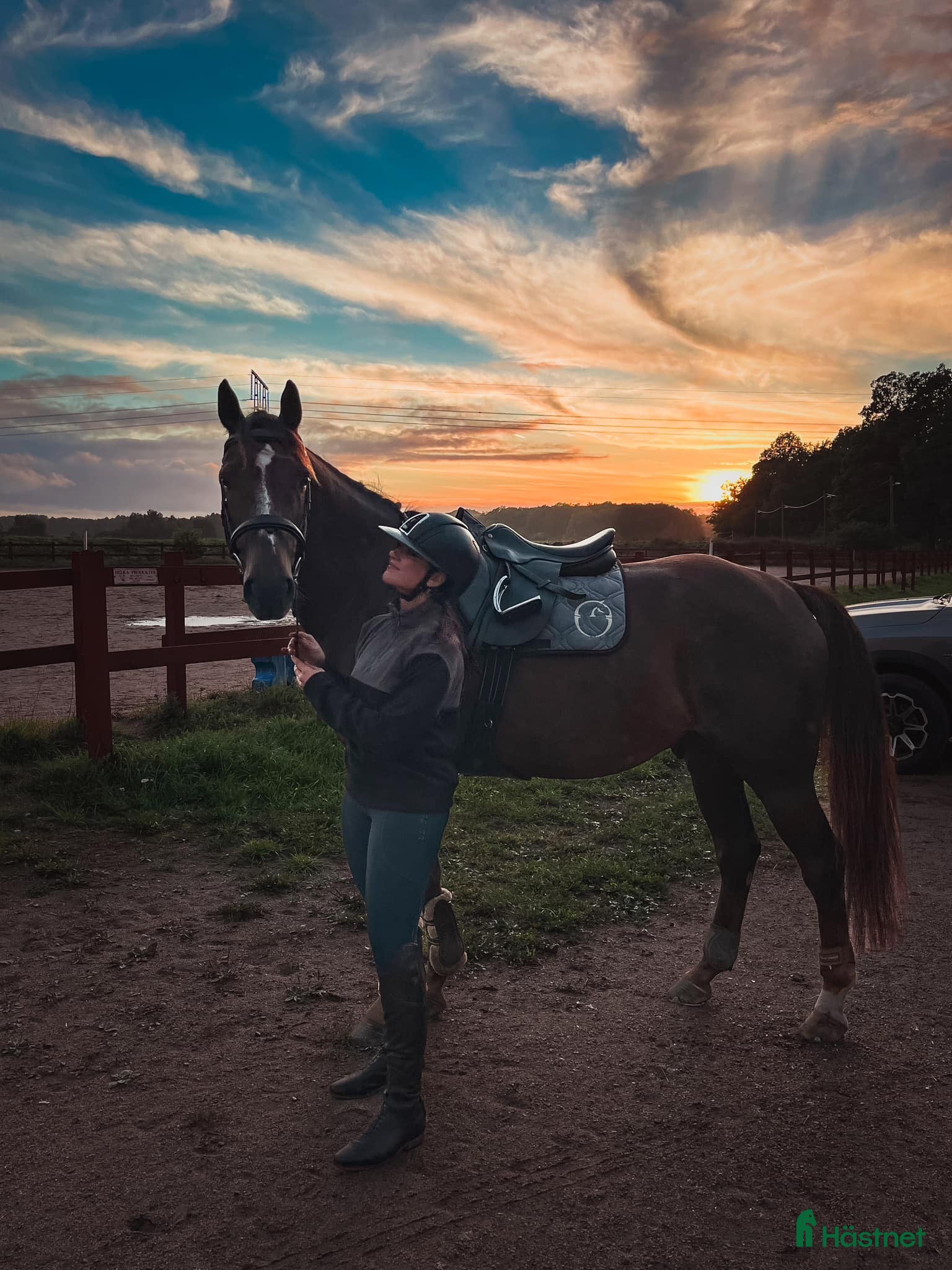  hästar Dressyrhäst för framtiden! i Vattholma - Annons 9