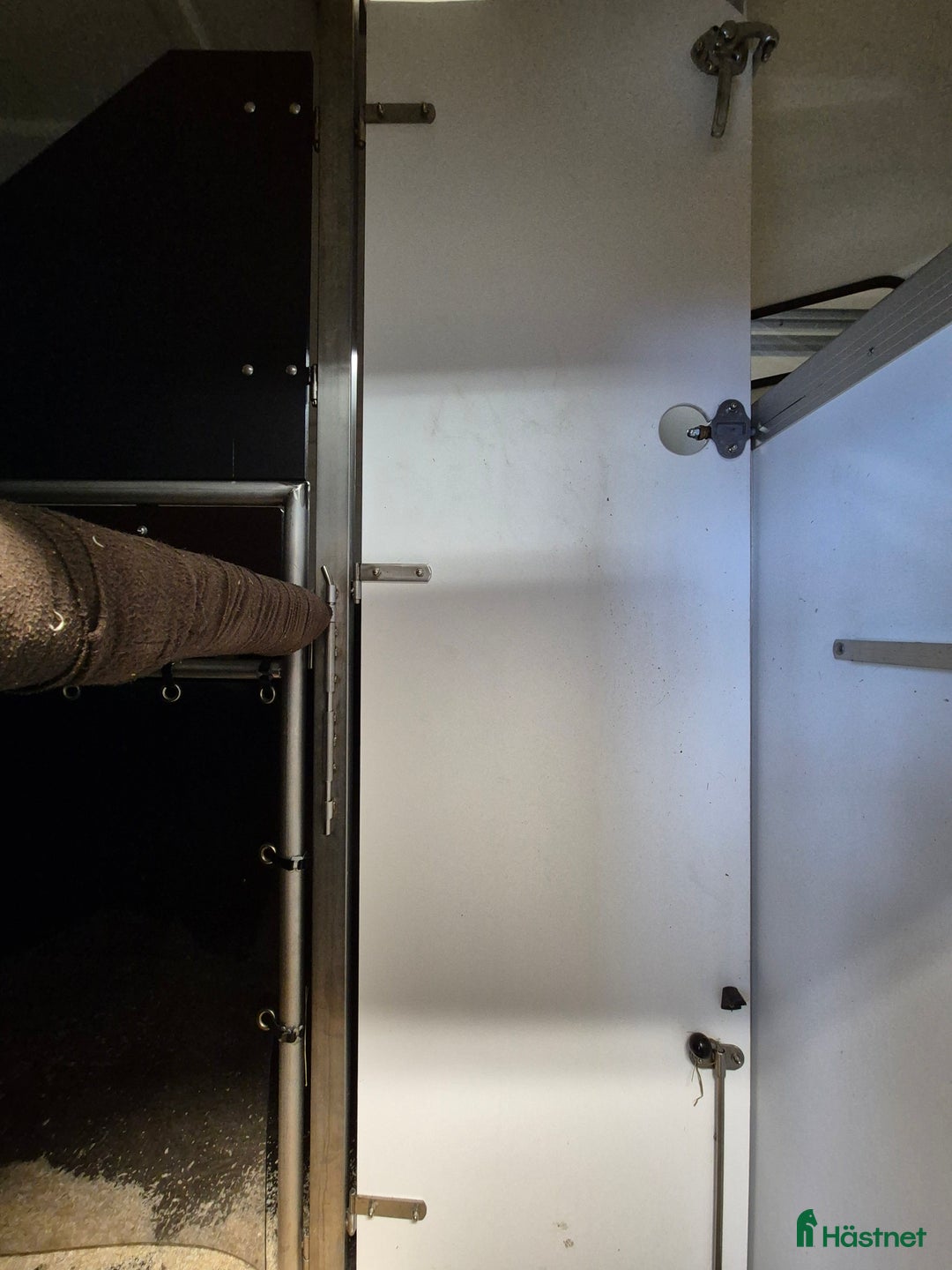 Hästtransporter  fordon & transport till salu: Forzab Futuro SEH 26 säljes - Annons 8