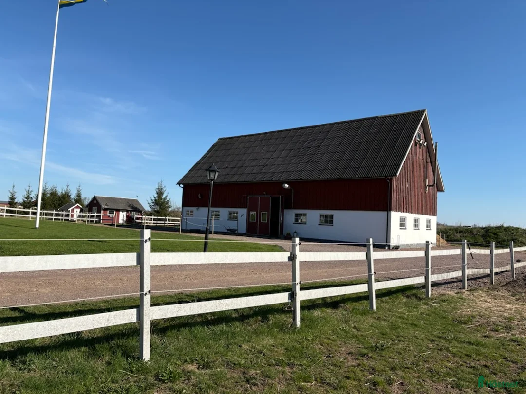  medryttarhäst sökes: Foderhäst till lugnt stall! i Åstorp - Annons 1