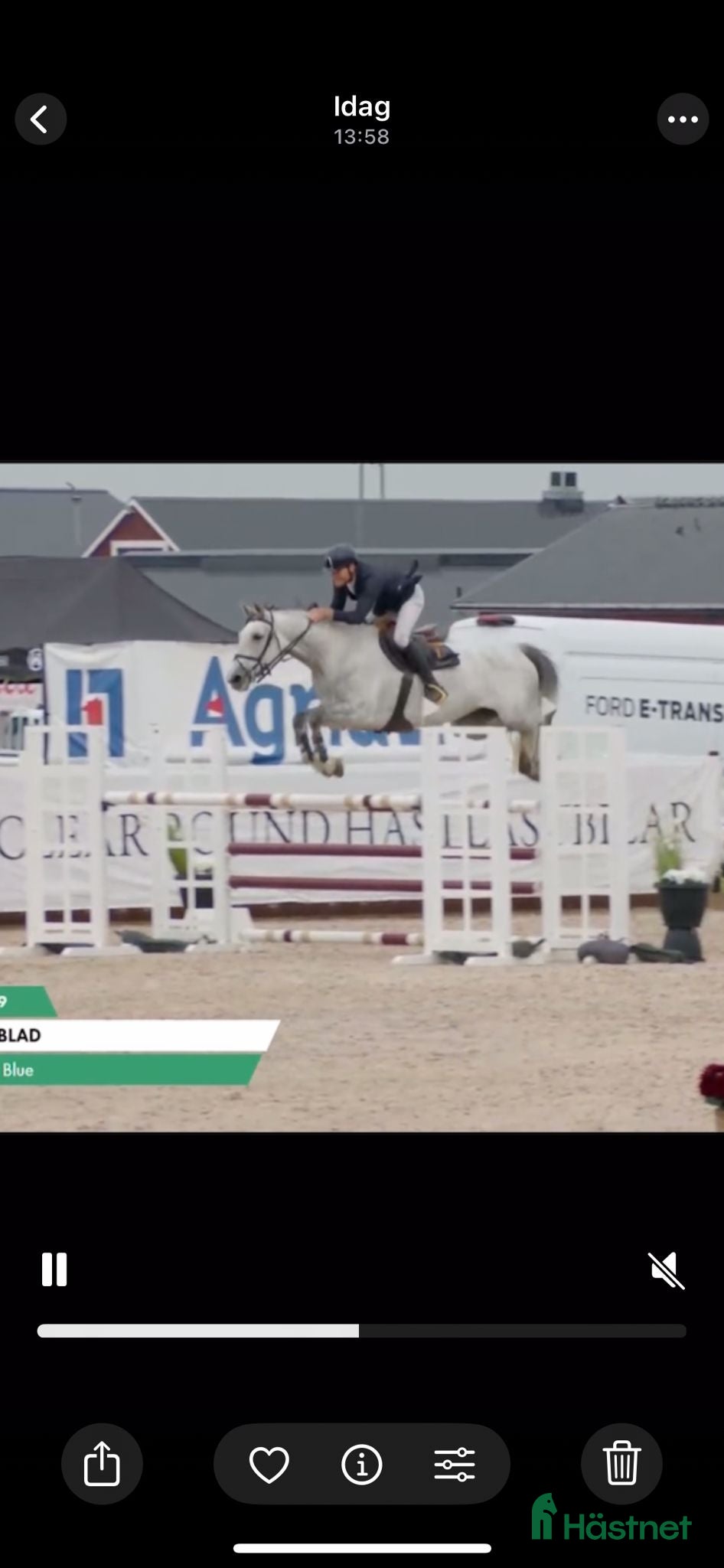  hästar 2 fina kvalitetshästar i Söderköping - Annons 5