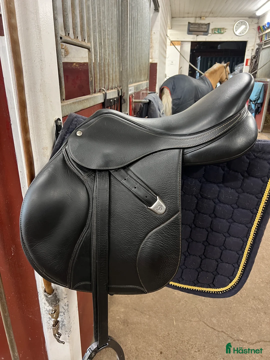 Sadlar hästutrustning till salu: Bates elevation lux - Annons 1