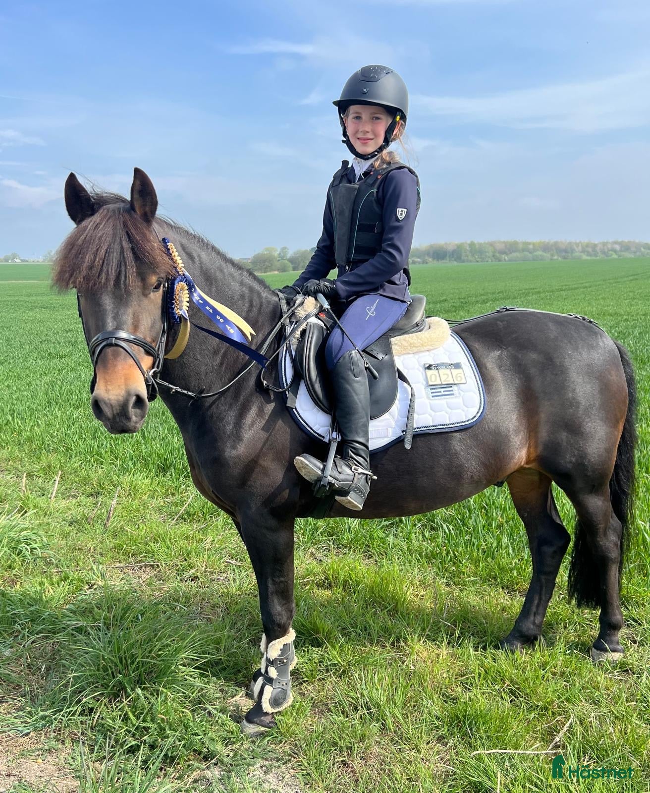 hästar Trygg B-ponny - perfekt första ponny 🐴 - Annons 5