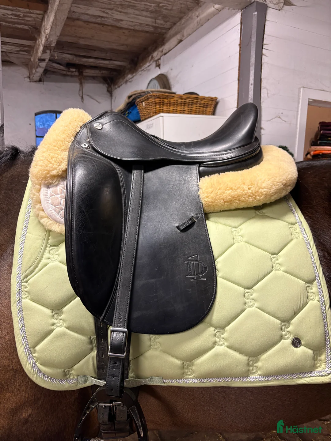 Sadlar hästutrustning till salu: Prestige D1 Dressyr - Annons 3
