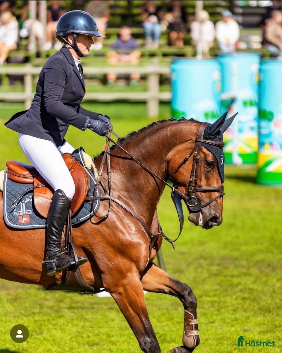  hästjobb finnes: Jobb på en av Norges største rideskoler🐎🇳🇴 - Annons 8