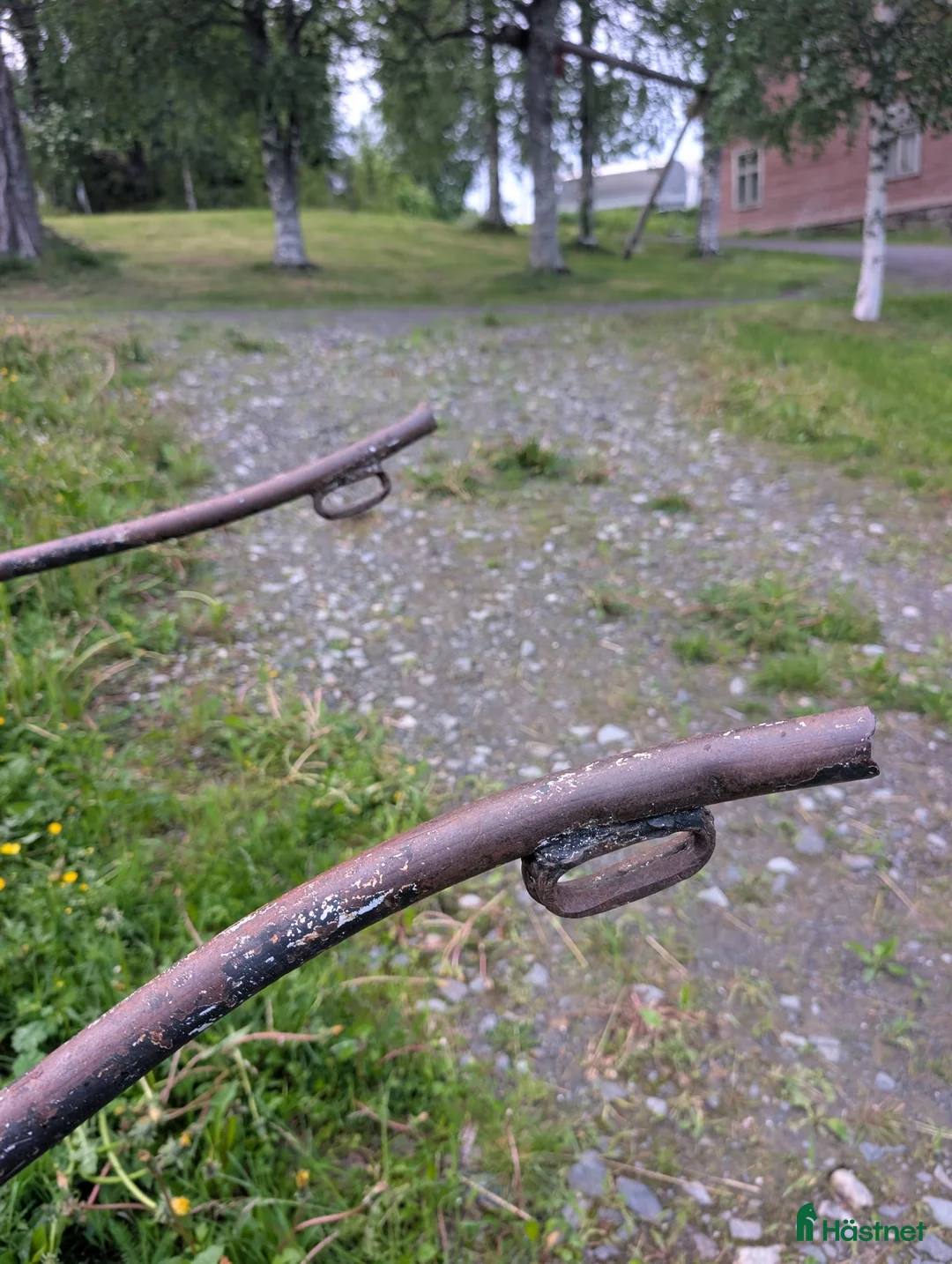 Körvagnar körning till salu: Stadig Rockard på Saab-axel  - Annons 2