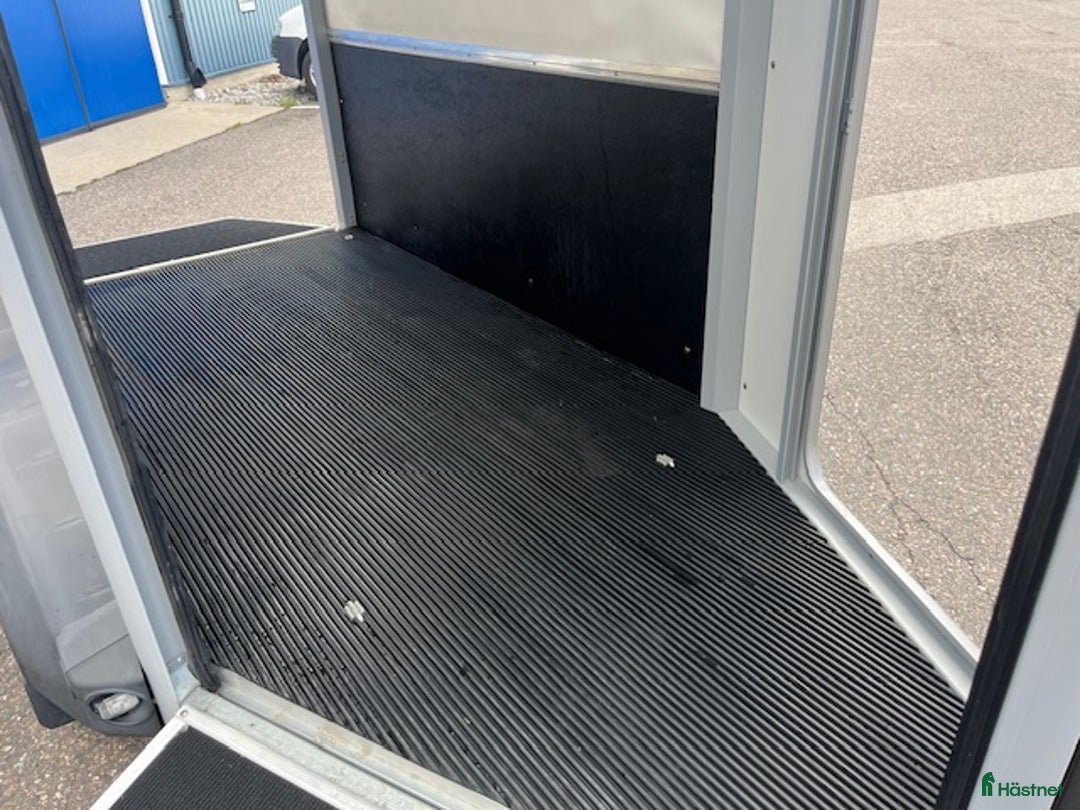 Hästtransporter  fordon & transport till salu: Ifor Williams HB403 Enhästars transport i Svedala - Annons 6