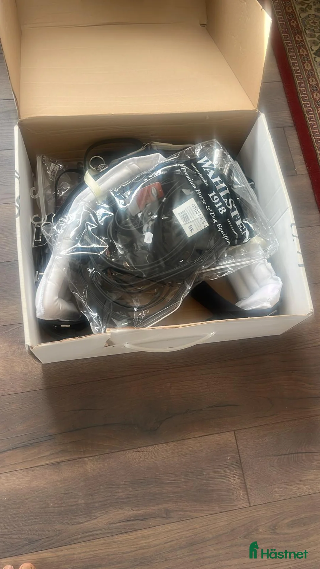 Travselar trav till salu: Wahlsten sele i Heby - Annons 1