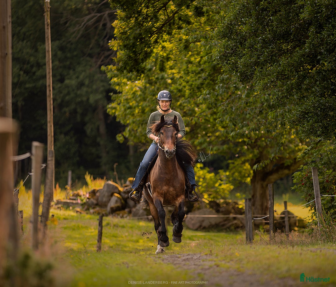 Galleribild {{count}}