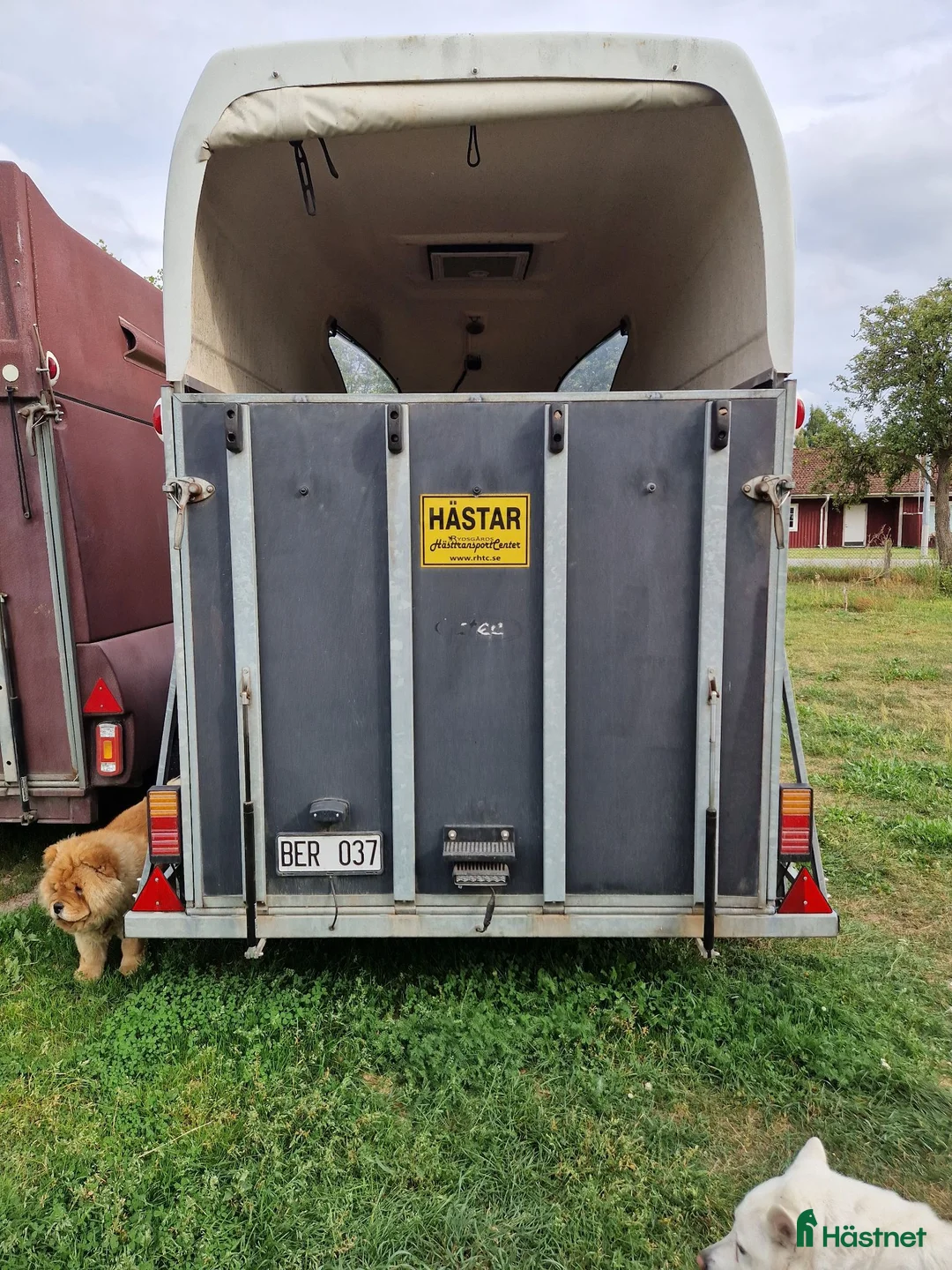 Hästtransporter  fordon & transport till salu: Totalrenoverad hästtransport  - Annons 2