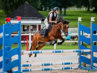 hästar Rolig C-ponny i Tibro - Annons 4