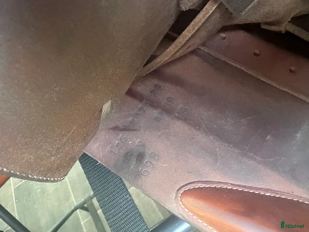 Sadlar hästutrustning till salu: Butet 17’5 i gott skick säljes i Trelleborg - Annons 5